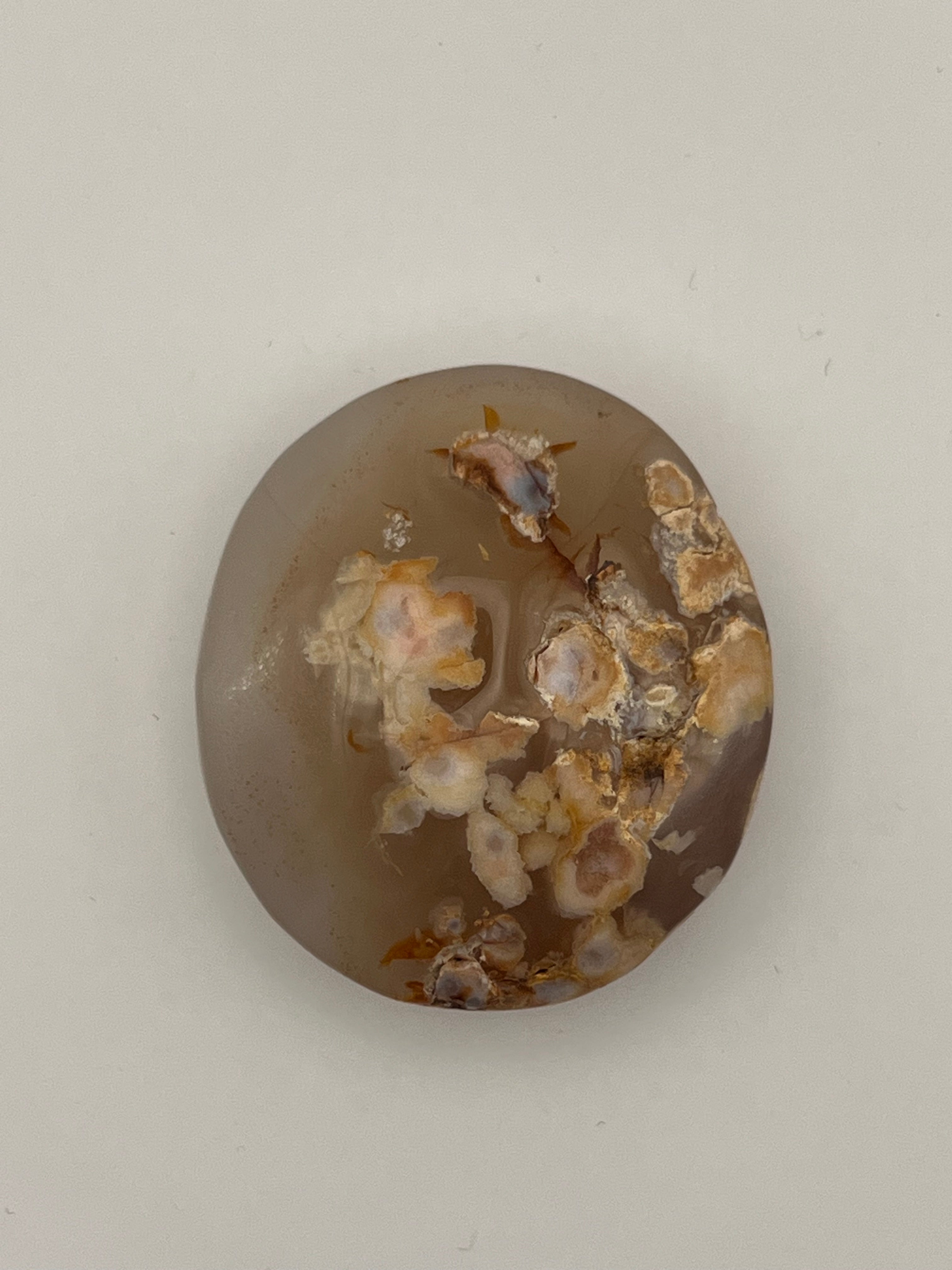 Carnelian Flower Agate Palm Stone
