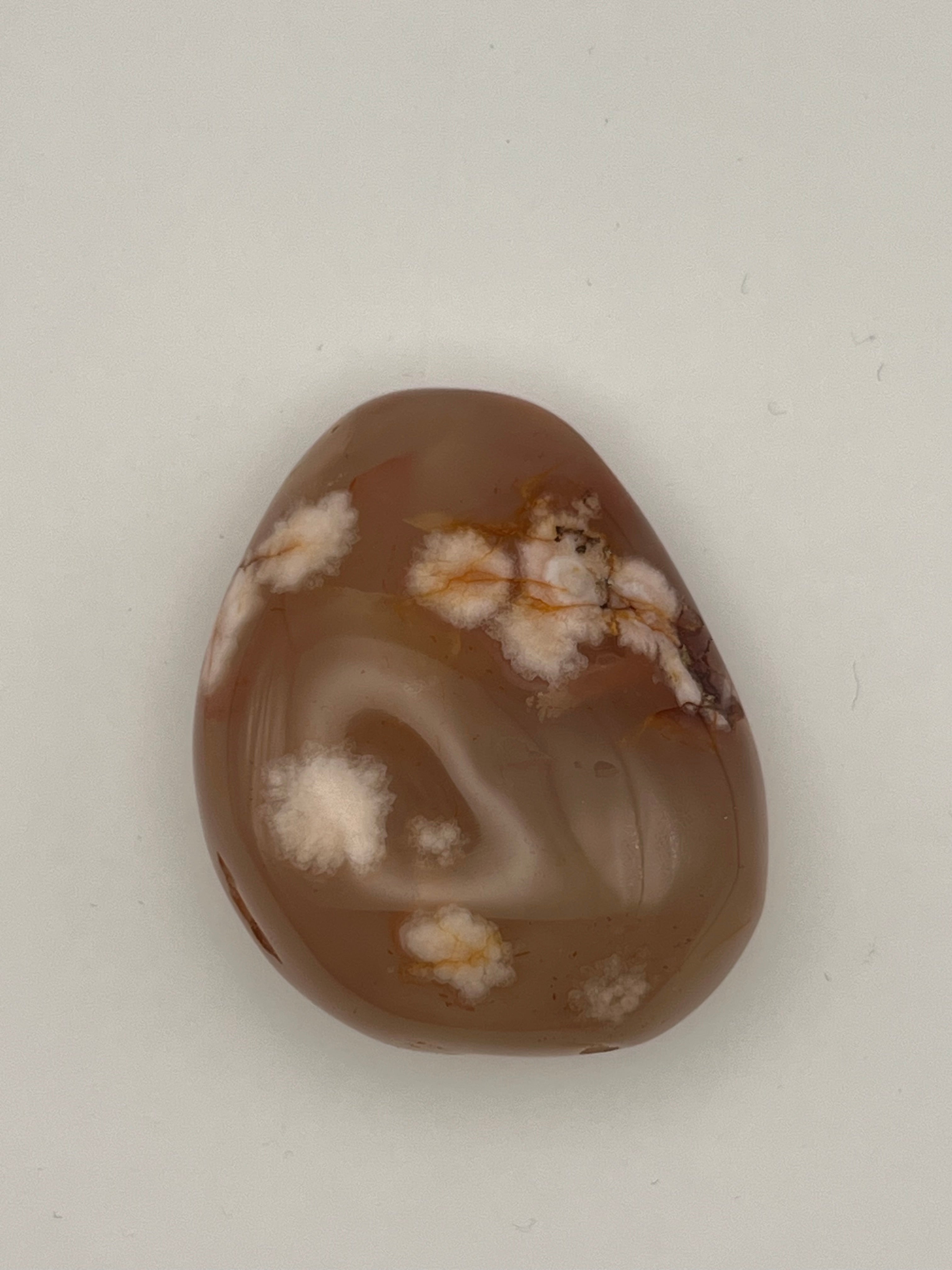 Carnelian Flower Agate Palm Stone